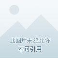 冷帝的亲亲甜妻 冷帝的亲亲甜妻