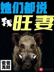 她们都说我旺妻 她们都说我旺妻