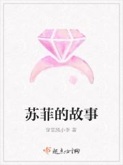 苏菲的故事 苏菲的故事