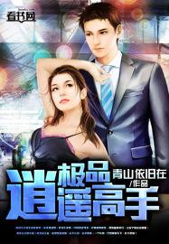 极品逍遥高手 极品逍遥高手