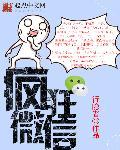 疯狂微信 疯狂微信