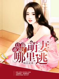 总裁夜敲门:萌妻哪里逃 总裁夜敲门:萌妻哪里逃