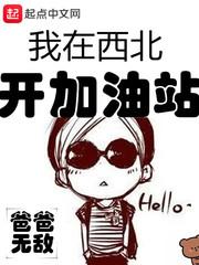 我在西北开加油站 我在西北开加油站